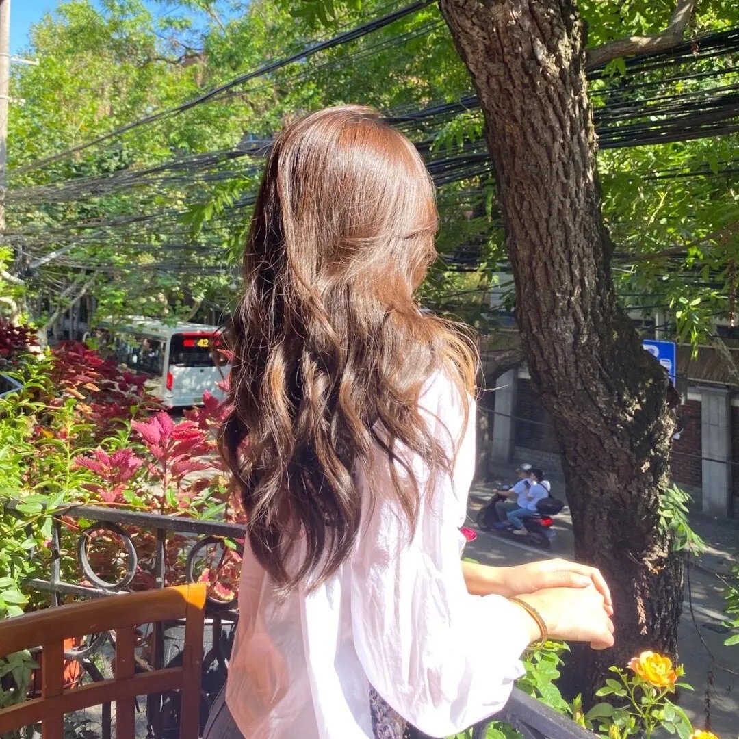 白山茶与黑月光